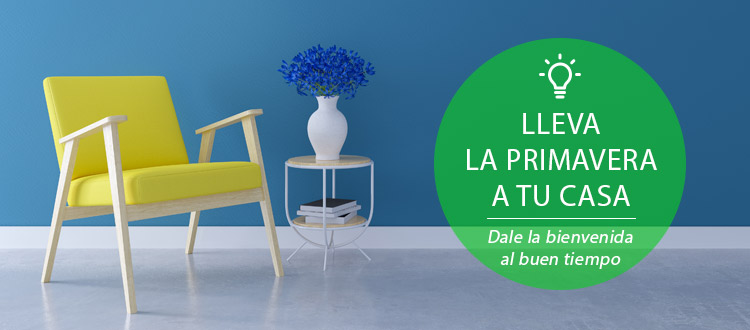 /blog/Asesoria